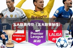 五大联赛传控（五大联赛制度）