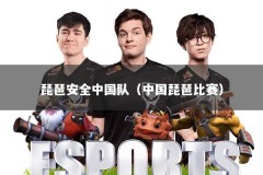 琵琶安全中国队（中国琵琶比赛）