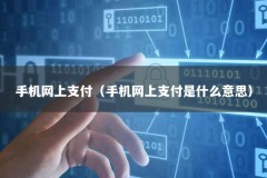 手机网上支付（手机网上支付是什么意思）