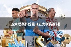 五大联赛杯份量（五大联赛赛制）