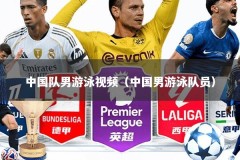 中国队男游泳视频（中国男游泳队员）