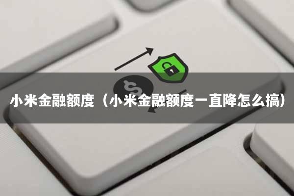 小米金融额度(小米金融额度一直降怎么搞)