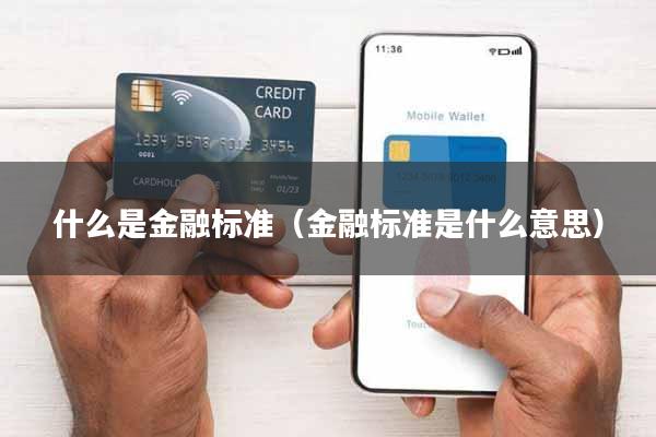 什么是金融标准(金融标准是什么意思)